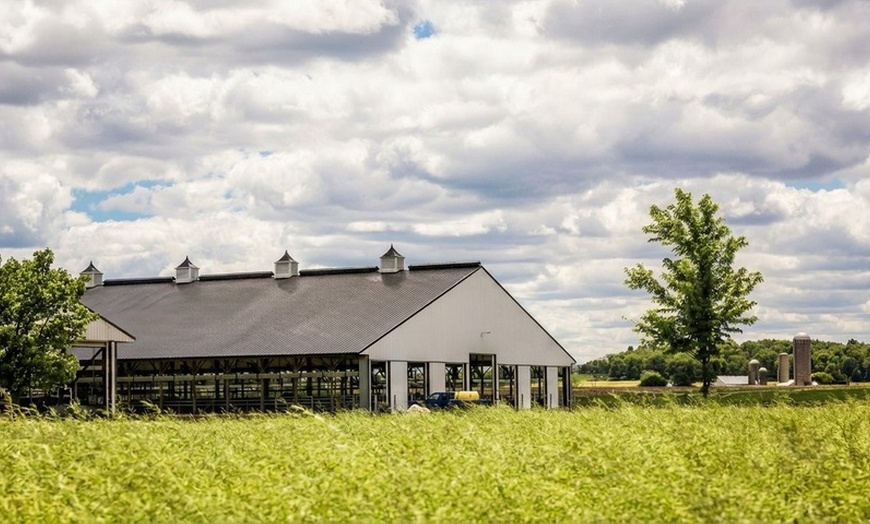 Image 4: Kreider Farms Dairy and Farm Tour for Four or Eight – Manheim