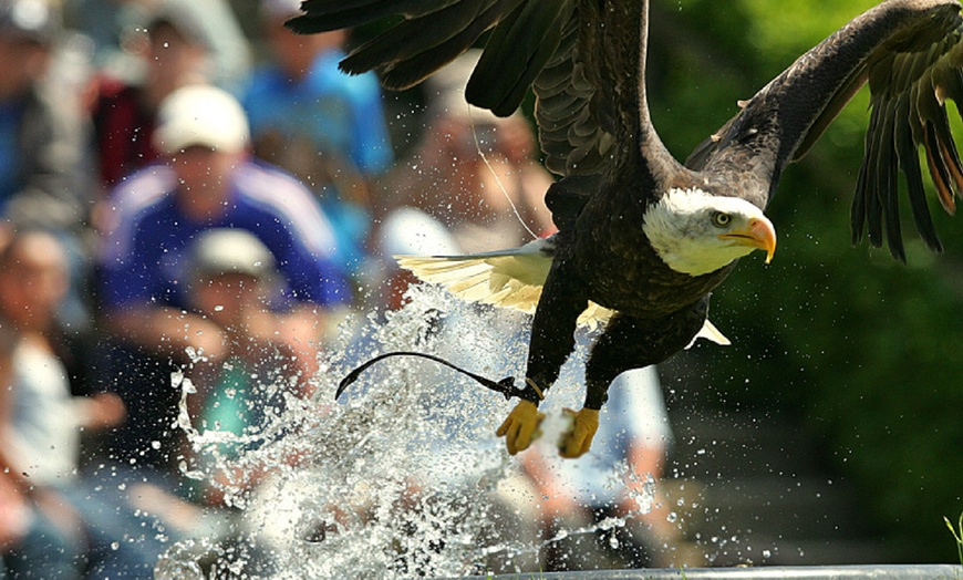 Image 2: Entrée au Parc Animalier de Courzieu 