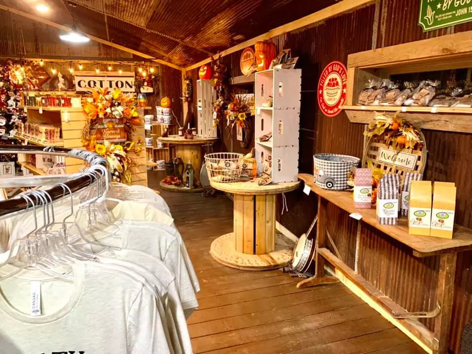 Admission For One, Two, or Four To Pumpkin Patch With Activities!