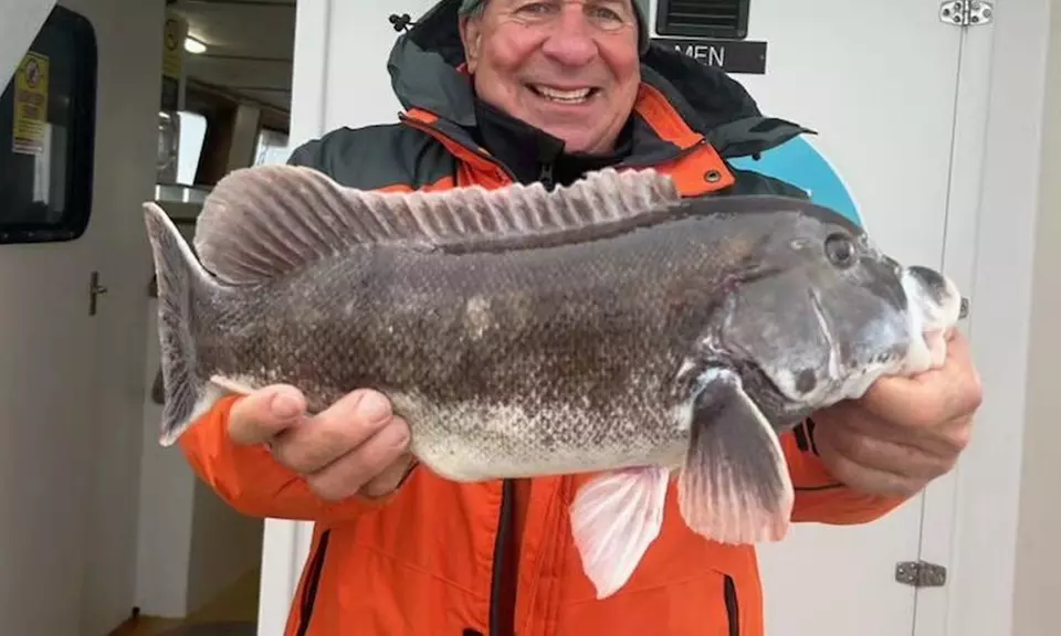 4-Hour Fishing Trip w/ Rod in Sea Isle City, NJ for 1, 2, or 4 People