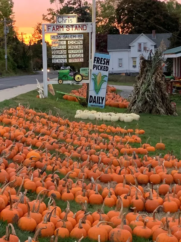 Discover Chris' Farm Stand's  $15 or $20 Voucher Towards Pumpkin Purchase or One Hayride  (Up to 33% Off) - Second Medium