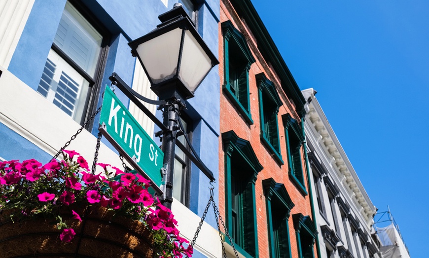 Image 3: Explore Charleston: City Tour with Old Town Trolley Tours