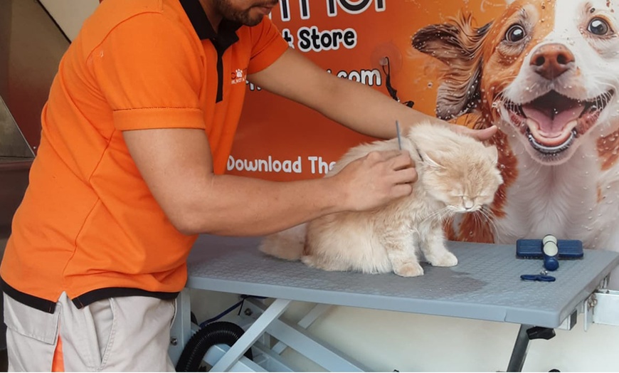 Image 7: Basic or Full Grooming at Pet Corner