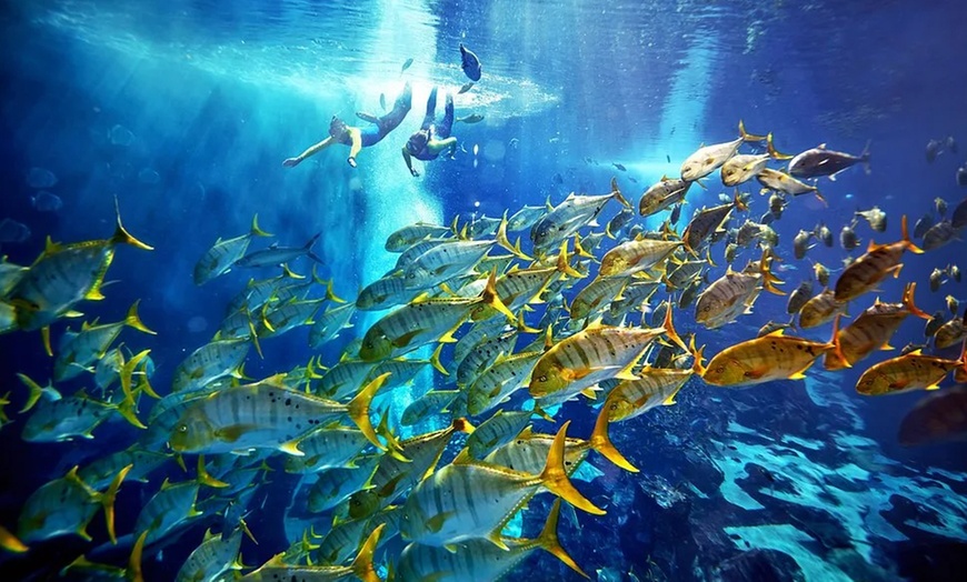 Image 7: Explore the Lost World Aquarium – Entry for Kids, Adults & Families