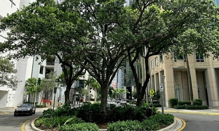 1 Person: Thu/Fri 10:30AM - New River Architecture Project, Fort Lauderdale, FL