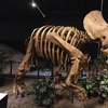 Image 1: Up to 31% Off Houston Museum of Natural Science at Sugar Land