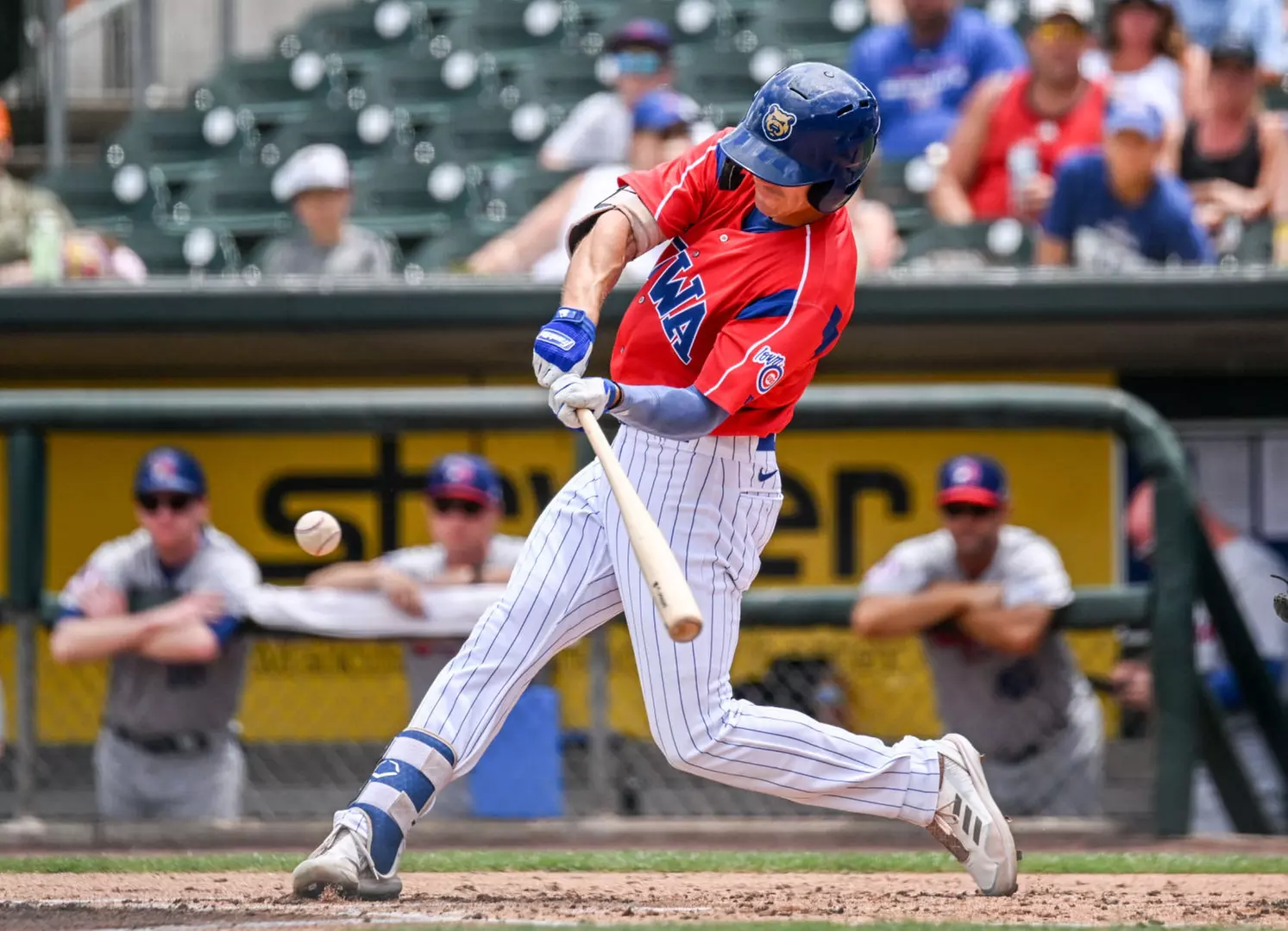 Iowa Cubs Skybox Suite Package for 10 - Primary Image