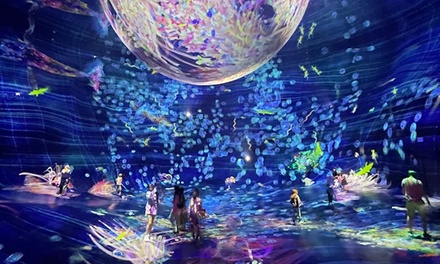 TeamLab Phenomena Abu Dhabi – One Entry Pass - Royal Smart Tourism