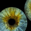 Image 15: Fotografía artística del iris del ojo con impresión en 15 x 20 cm