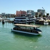 Image 3: 1.5-Hour Tiki Island BYOB Boat Cruise for One Adult or Child