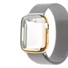 Silver Band / Gold Case