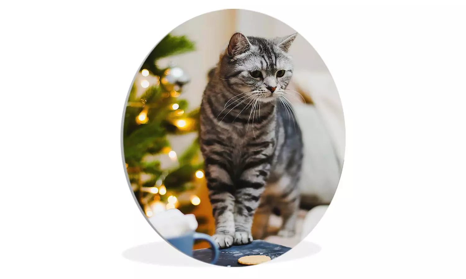 Jouw foto op een wandcirkel