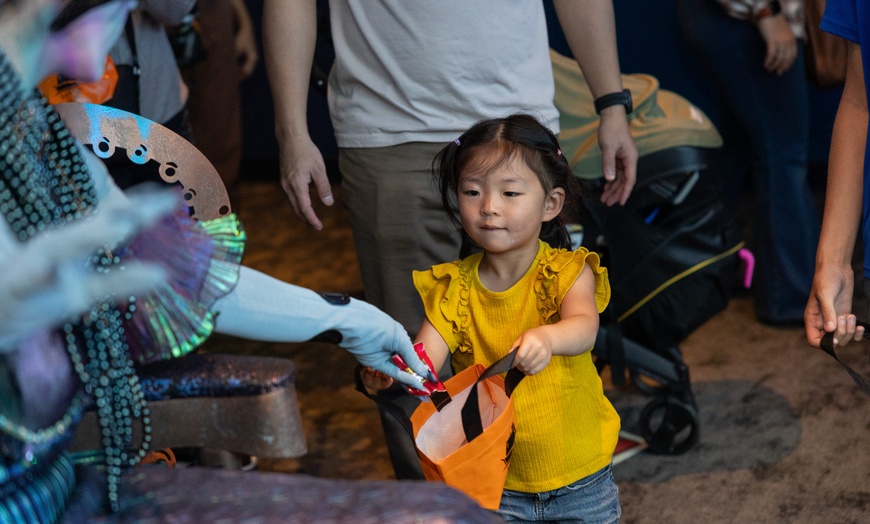 Image 12: One General-Admission Ticket at Georgia Aquarium