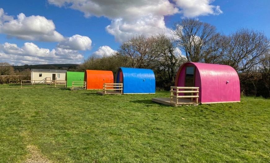 Image 4: Cornwall: 2 Nights with Springfields Fun Park & Pony Centre Entry