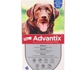 Image 11: Pipette antiparassitarie per cani Advantix