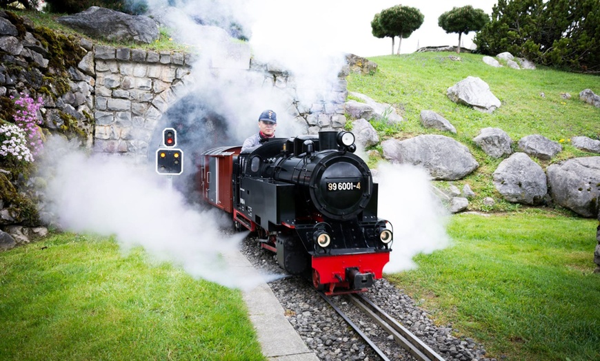 Image 1: 1 entrée pour enfant ou adulte au Swiss Vapeur Parc