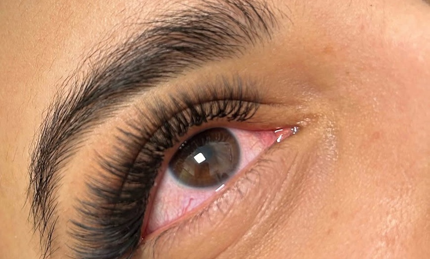 Image 6: Achieve a Natural, Hybrid, Volume, or Wispy Mink Lashes