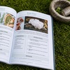 Image 2: Forgotten Home Apothecary : 250 Powerful Remedies at Your Fingertips 
