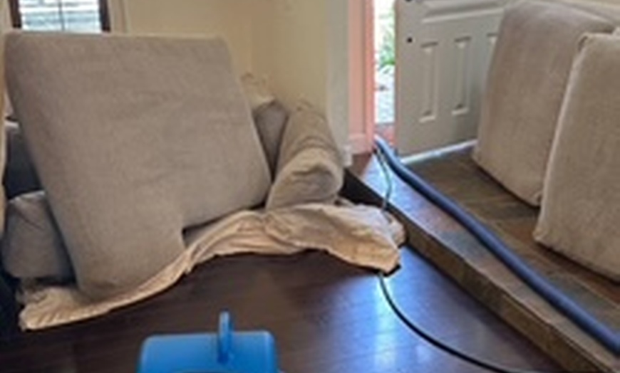 Image 5: Eco-friendly carpet cleaning for sofas and rugs included