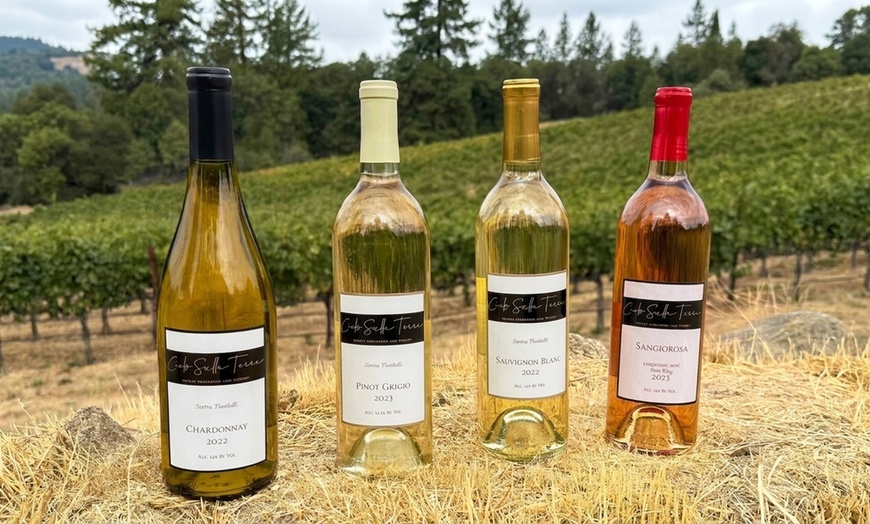 Image 8: Wine Tasting Experience w/ Personal Charcuteries for Up to 4 and More