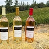 Image 8: Wine Tasting Experience w/ Personal Charcuteries for Up to 4 and More