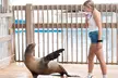 Enjoy General Admission or Membership at Gulfarium Marine Adventure Park in Fort Walton (Up to 30% Off) - Second Medium