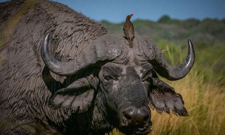 Image 52: Zimbabwe: 7-Night Yoga & Safari Retreat