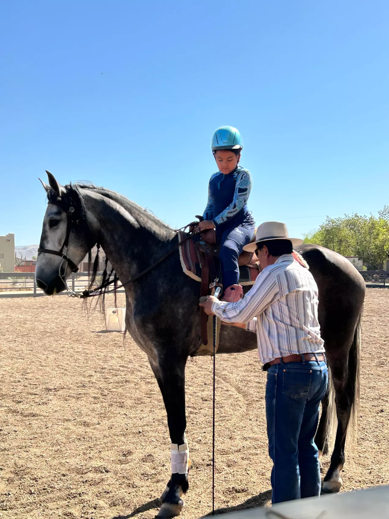 Horseback Riding Lessons Single, Two, or Three Session Options