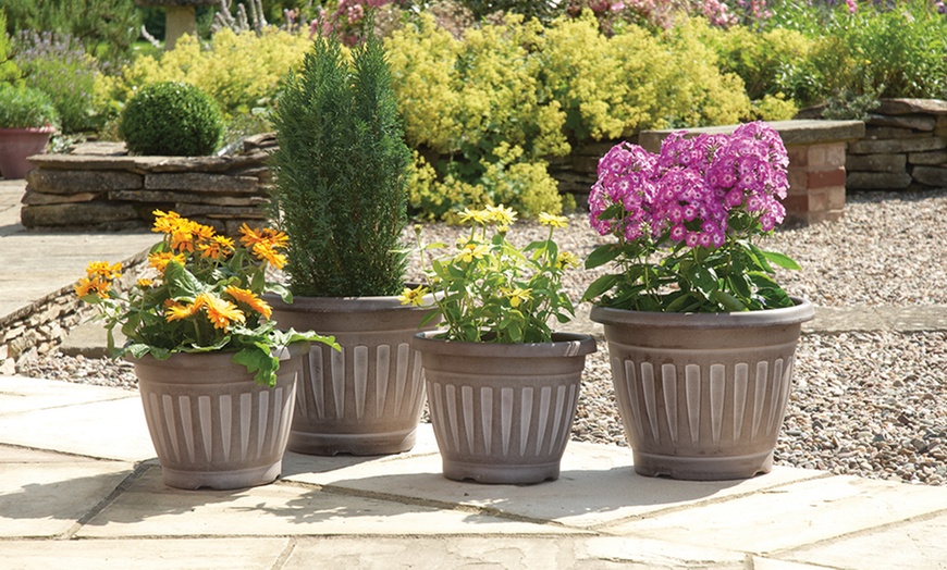 Image 1: Greenhurst Planters