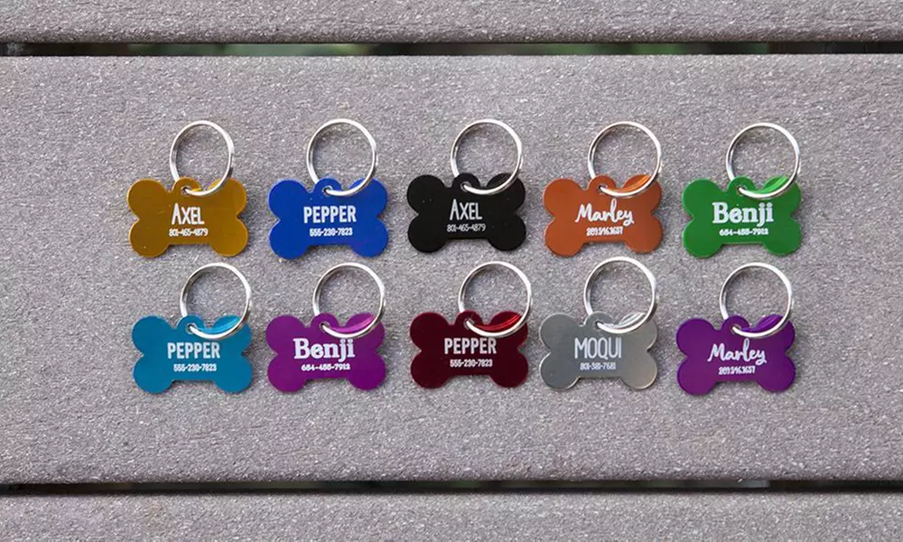 One, Two, Three, Five, or 10 Small or Large Personalized Pet Tags from Qualtry (Up to 84% Off) - Primary Image