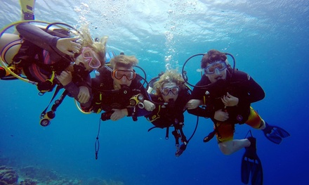 Discover Scuba Class (Online Booking Required) - For 1 - Underwater Connection Menomonee Falls, WI