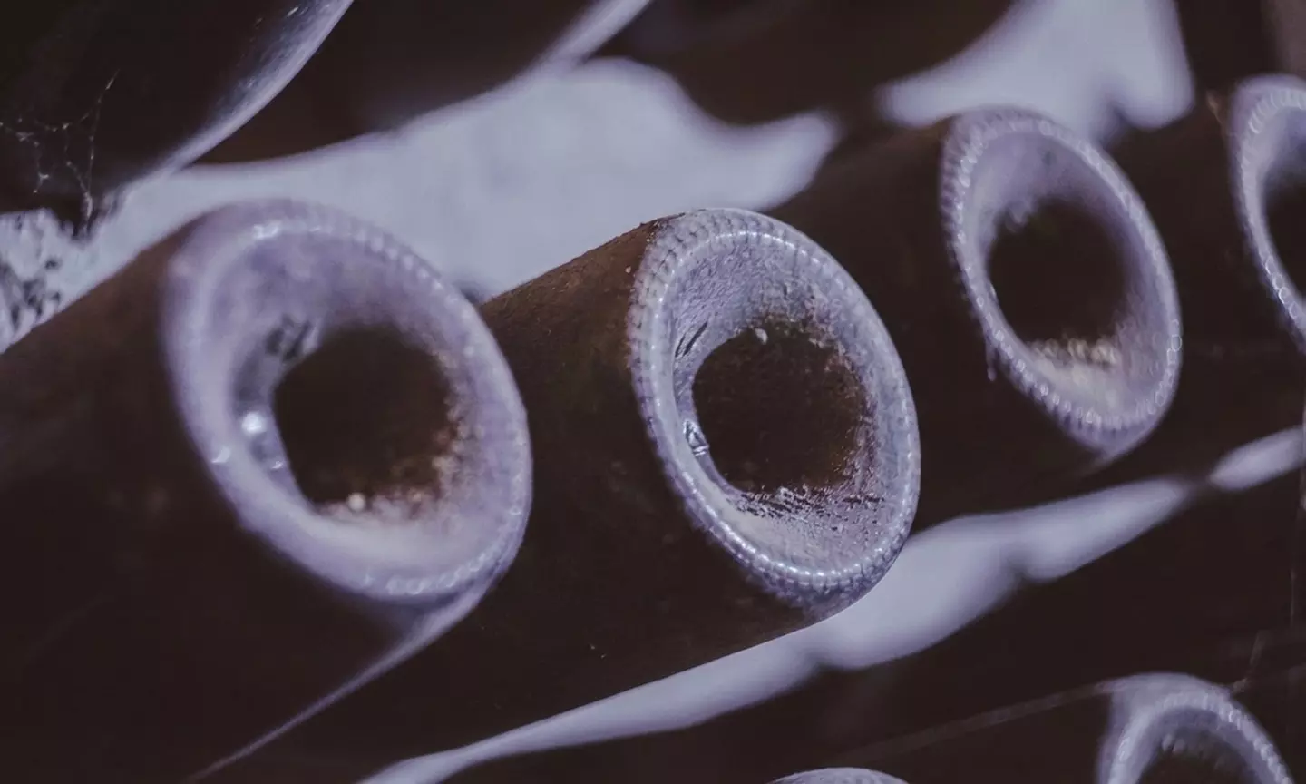 Visita guiada a bodega con cata de vinos para 2, 4 o 6 personas