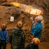Image 5: Weekend Self-Guided Cavern Walking Tour; Not Valid 29/11 - 04/01/2026
