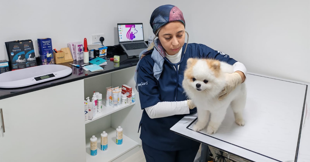 Professional Veterinary Care And Annual Pet Wellness Packages Professional Veterinary Care And Annual Pet Wellness Packages