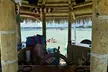 Relax with a Group of up to Six in a Private Tiki Cruise at Cruisin Tikis Sarasota - Up to 26% Off - Second Medium