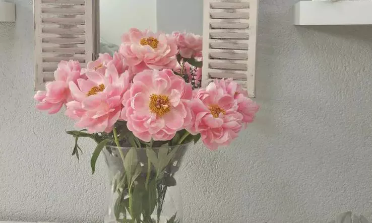 40 - 80 Min. Klassische Maniküre und/oder Pediküre ohne Shellac