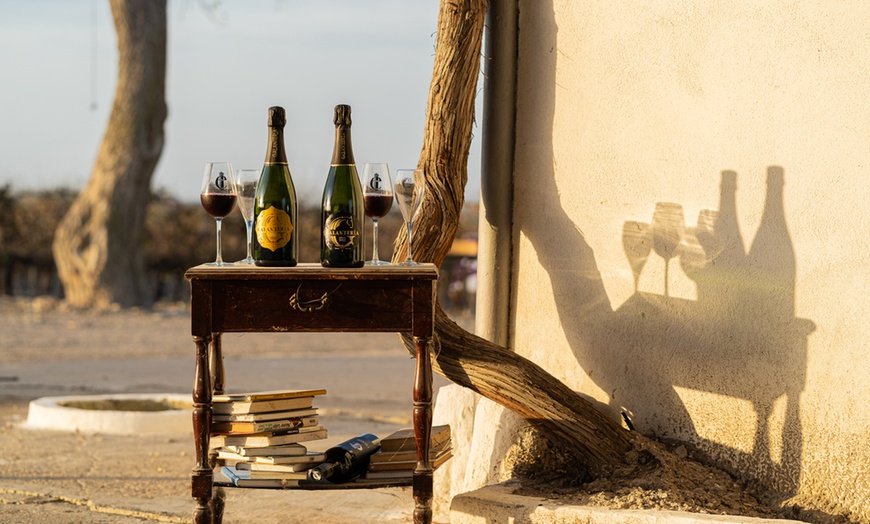 Image 6: Visita a bodega y cata de 5 vinos premiados o almuerzo/cena para 2 o 4