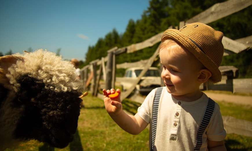 Image 6: Edukacja i rozrywka w sielskiej atmosferze: bilet na Farmę Alexa