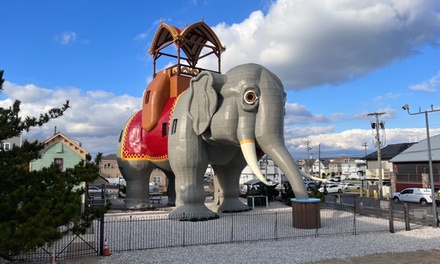 Admission with Guided Tour for 1 Person - Lucy The Elephant