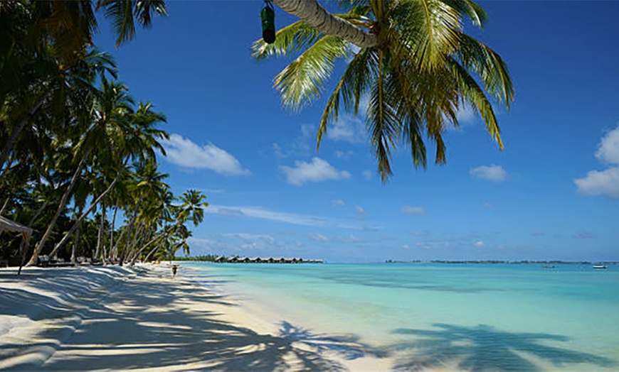 Image 8: Up to 12% Off 1-Day Round-Trip Bimini Ferry with Transportation