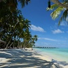 Image 8: Up to 12% Off 1-Day Round-Trip Bimini Ferry with Transportation
