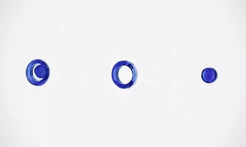 Experiencia de joyería, corte de botellas o botánica en cristal y vino