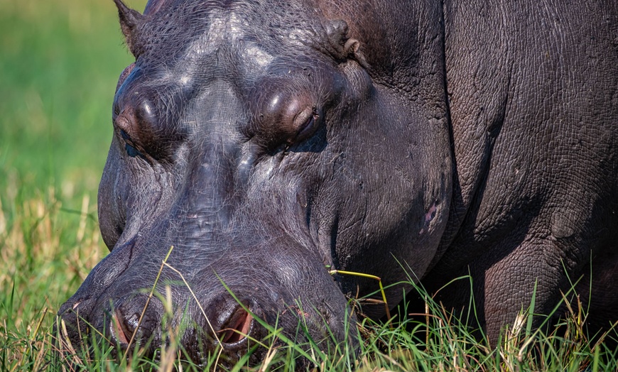 Image 30: 8-Day Yoga & Safari Retreat