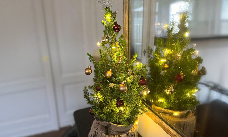 Image 2: Mini albero di natale per bambini con vaso Rootz