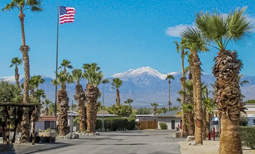 Image 6: Chlorine-Free Mineral Pool Any-Day Passes for One, Two or Four 