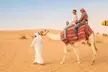 Explore Unforgettable Regular/VIP Half-Day Desert Safari for One, Two, or Four People (Up to 59% Off) - Image 2