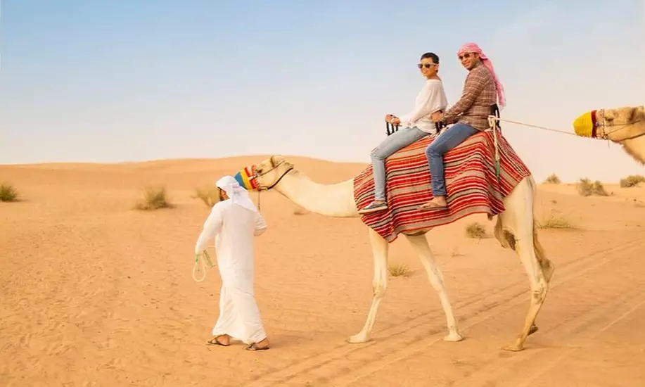 Embark on One, Two, or Four People: Regular/VIP Half-Day Desert Safari