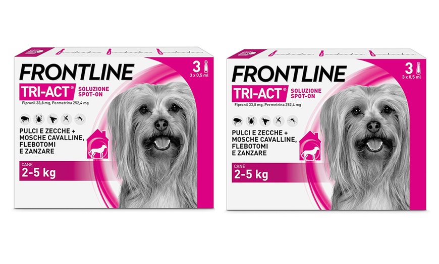 Image 24: Fino a 12 pipette Frontline Tri-Act® Spot-on per cani