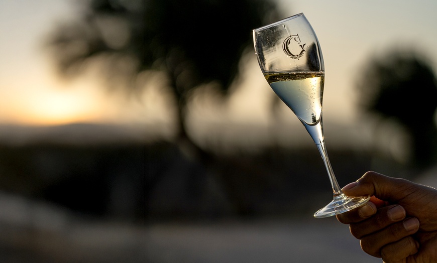 Image 3: Visita a viñedo y cata de 5 vinos con almuerzo