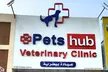 Pamper Pet w/ Full Grooming for Cats & Dogs (Under or Over 20kg) at Petshub Veterinary Clinic (Up to 36% Off) - Image 4